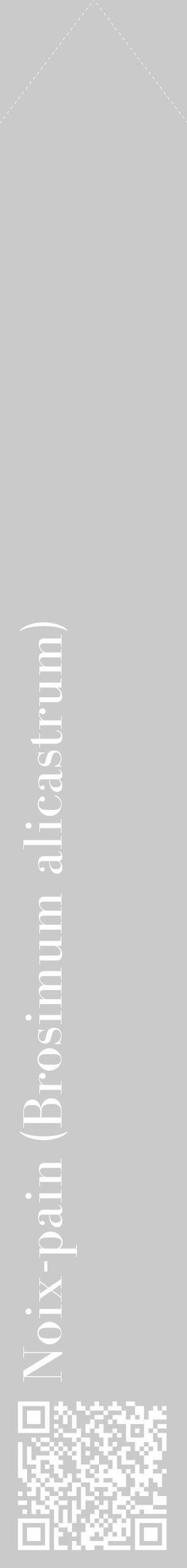 Étiquette de : Brosimum alicastrum - format c - style blanche21_simple_simplebod avec qrcode et comestibilité - position verticale