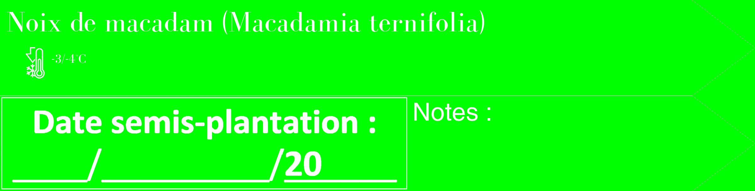 Étiquette de : Macadamia ternifolia - format c - style blanche16_simple_simplebod avec comestibilité