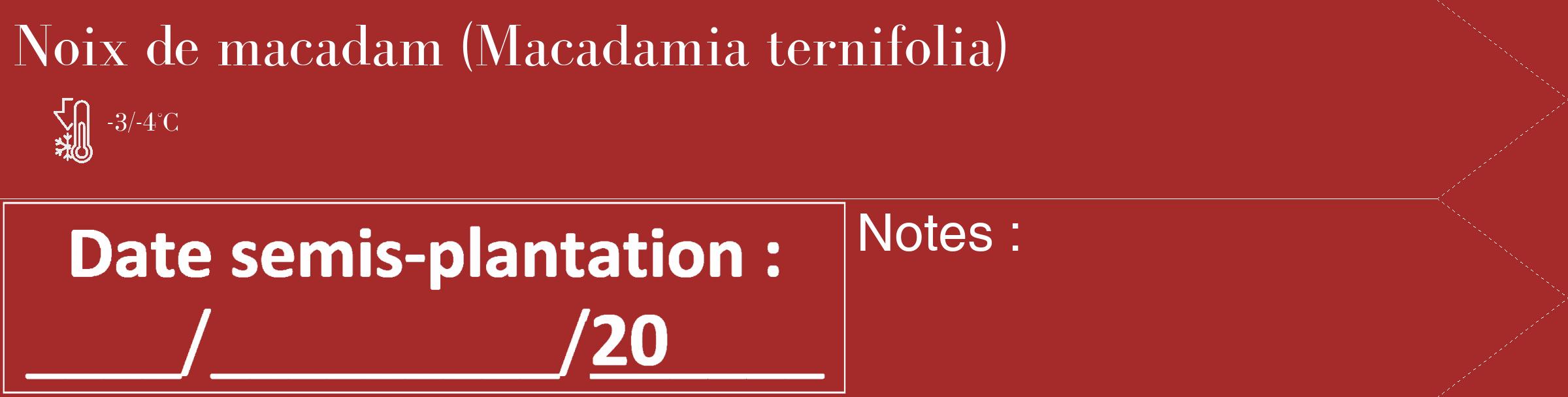 Étiquette de : Macadamia ternifolia - format c - style blanche33_simple_simplebod avec comestibilité