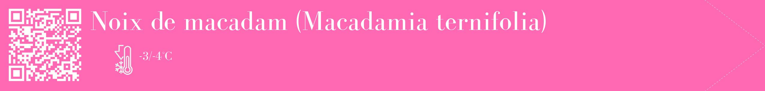 Étiquette de : Macadamia ternifolia - format c - style blanche42_simple_simplebod avec qrcode et comestibilité