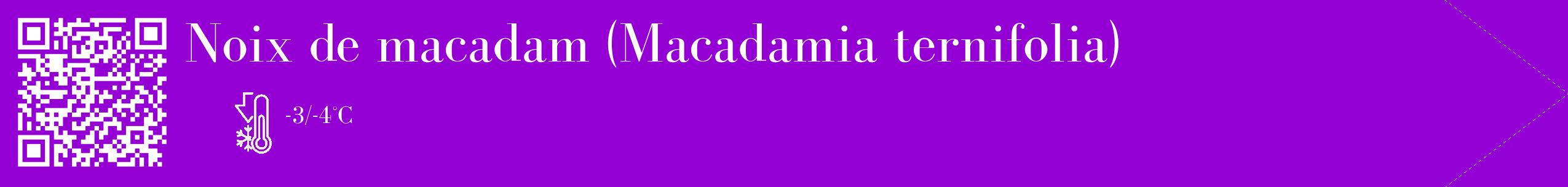 Étiquette de : Macadamia ternifolia - format c - style blanche48_simple_simplebod avec qrcode et comestibilité