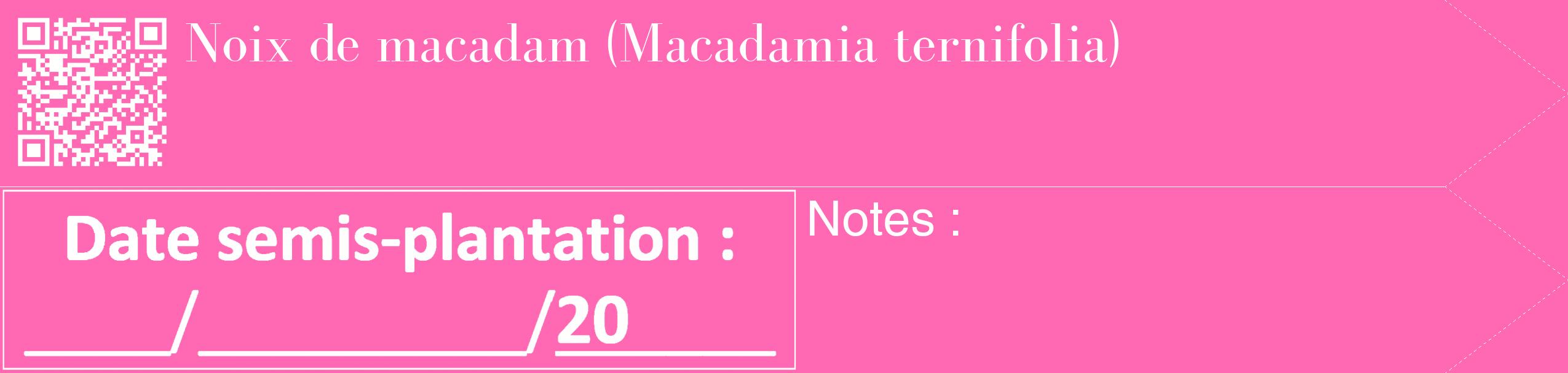 Étiquette de : Macadamia ternifolia - format c - style blanche42_simple_simplebod avec qrcode et comestibilité