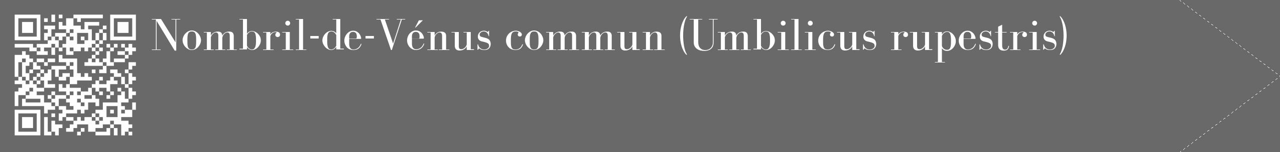 Étiquette de : Umbilicus rupestris - format c - style blanche11_simple_simplebod avec qrcode et comestibilité