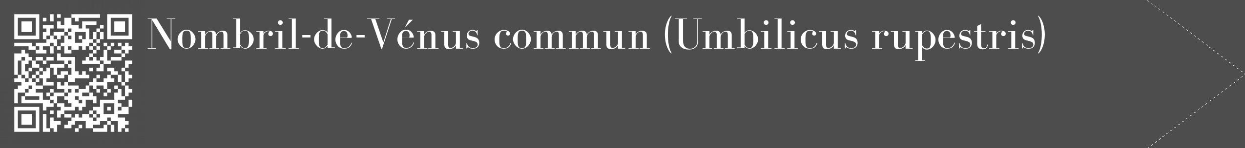 Étiquette de : Umbilicus rupestris - format c - style blanche28_simple_simplebod avec qrcode et comestibilité