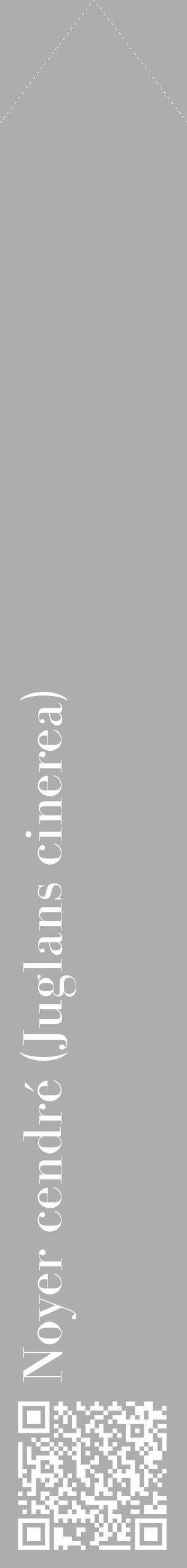 Étiquette de : Juglans cinerea - format c - style blanche22_simple_simplebod avec qrcode et comestibilité - position verticale