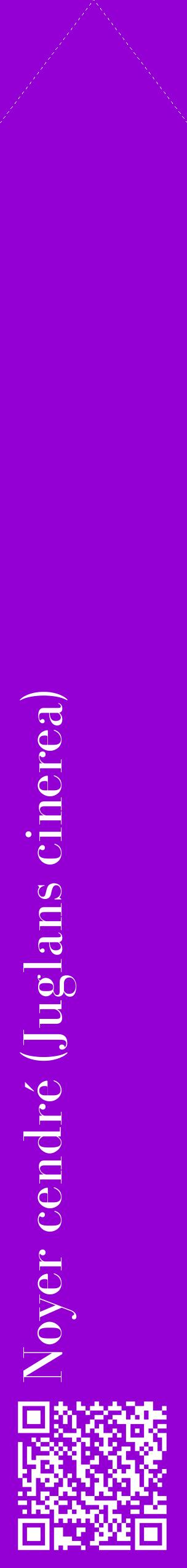 Étiquette de : Juglans cinerea - format c - style blanche48_simplebod avec qrcode et comestibilité