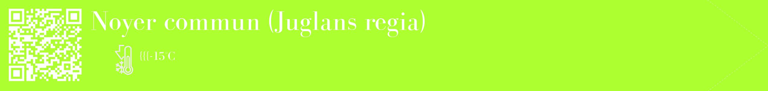 Étiquette de : Juglans regia - format c - style blanche17_simple_simplebod avec qrcode et comestibilité