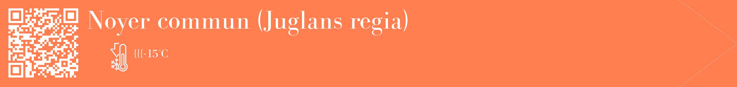 Étiquette de : Juglans regia - format c - style blanche24_simple_simplebod avec qrcode et comestibilité