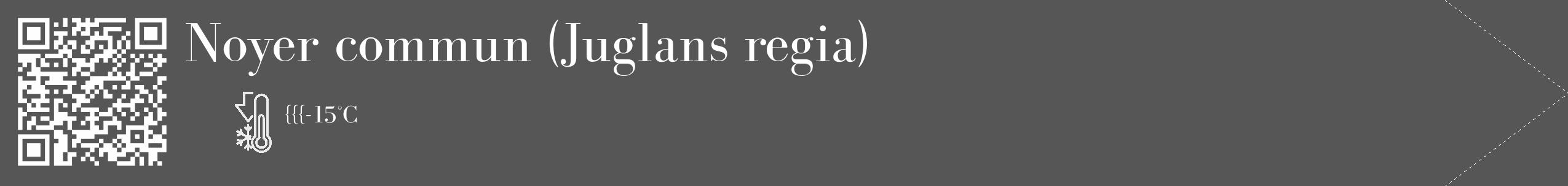Étiquette de : Juglans regia - format c - style blanche45_simple_simplebod avec qrcode et comestibilité