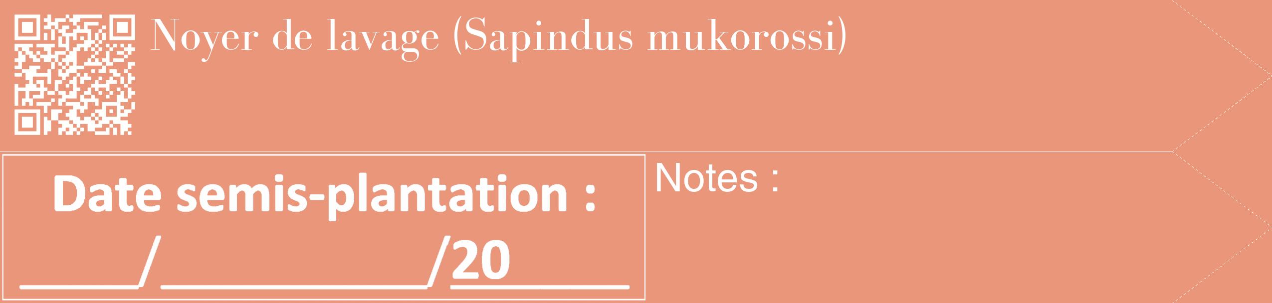 Étiquette de : Sapindus mukorossi - format c - style blanche37_simple_simplebod avec qrcode et comestibilité