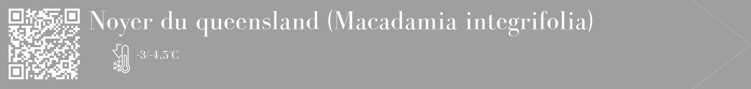Étiquette de : Macadamia integrifolia - format c - style blanche24_simple_simplebod avec qrcode et comestibilité