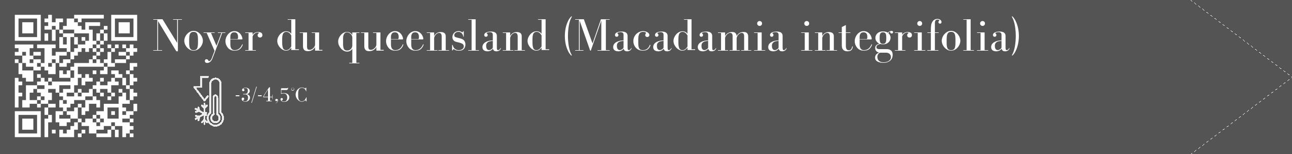 Étiquette de : Macadamia integrifolia - format c - style blanche36_simple_simplebod avec qrcode et comestibilité