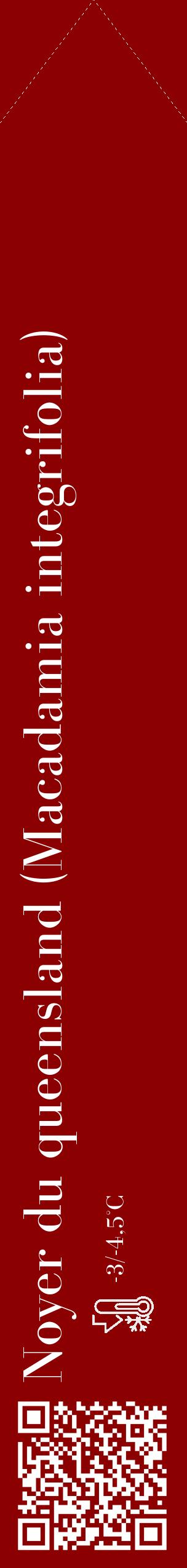 Étiquette de : Macadamia integrifolia - format c - style blanche34_simple_simplebod avec qrcode et comestibilité - position verticale