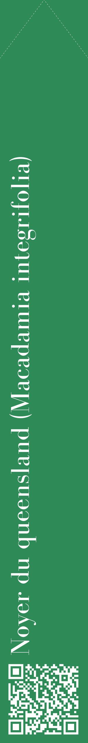 Étiquette de : Macadamia integrifolia - format c - style blanche11_simplebod avec qrcode et comestibilité