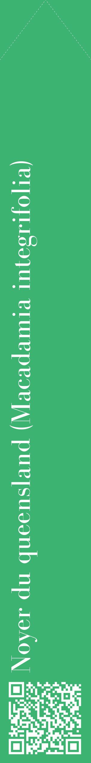 Étiquette de : Macadamia integrifolia - format c - style blanche12_simplebod avec qrcode et comestibilité