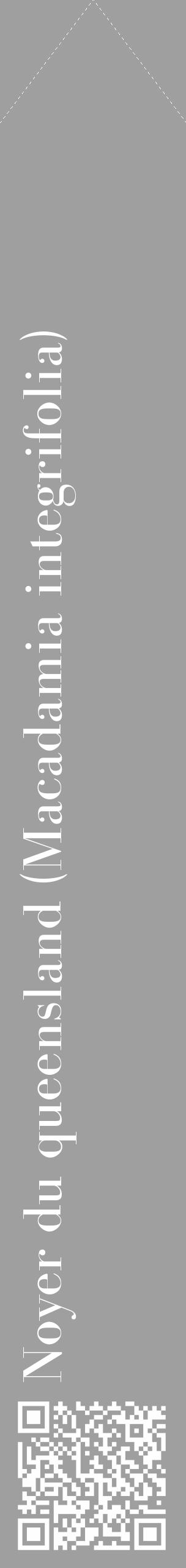 Étiquette de : Macadamia integrifolia - format c - style blanche24_simple_simplebod avec qrcode et comestibilité - position verticale