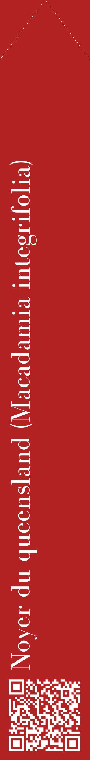 Étiquette de : Macadamia integrifolia - format c - style blanche28_simplebod avec qrcode et comestibilité