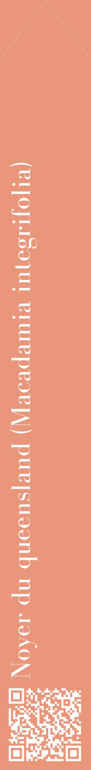 Étiquette de : Macadamia integrifolia - format c - style blanche37_simplebod avec qrcode et comestibilité