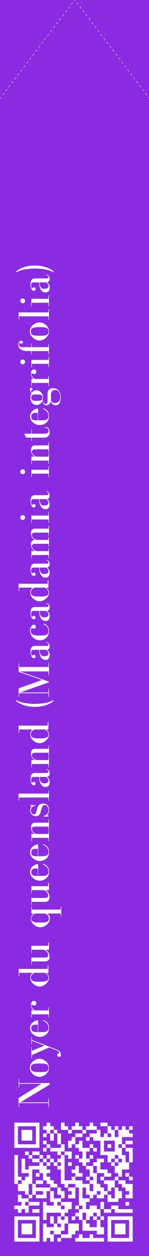 Étiquette de : Macadamia integrifolia - format c - style blanche49_simplebod avec qrcode et comestibilité