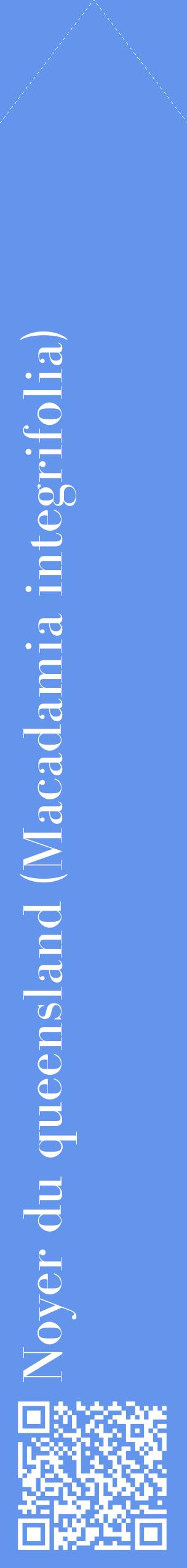 Étiquette de : Macadamia integrifolia - format c - style blanche4_simplebod avec qrcode et comestibilité