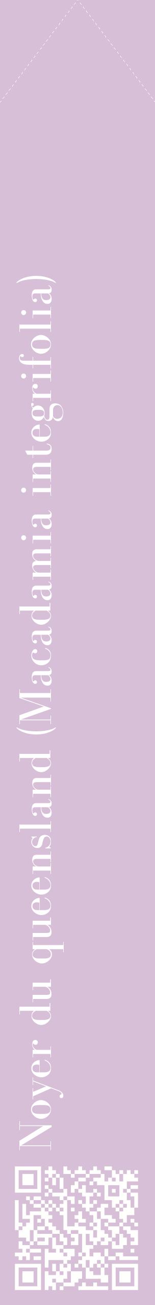 Étiquette de : Macadamia integrifolia - format c - style blanche54_simplebod avec qrcode et comestibilité