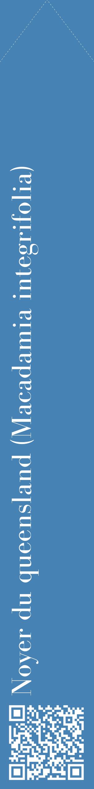 Étiquette de : Macadamia integrifolia - format c - style blanche5_simplebod avec qrcode et comestibilité