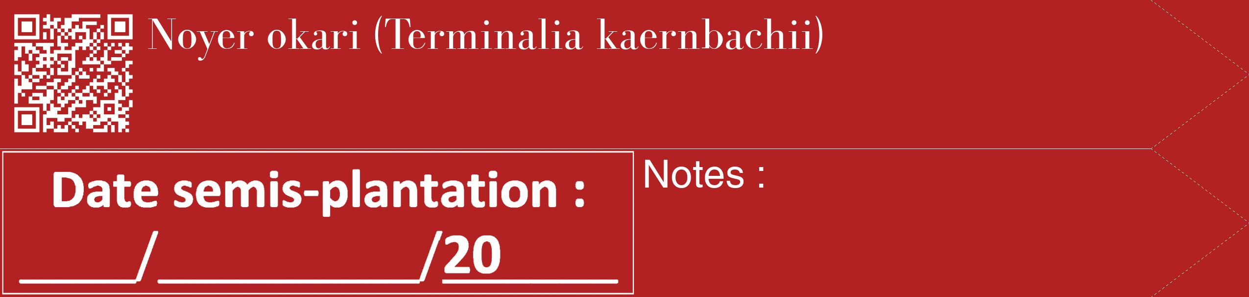 Étiquette de : Terminalia kaernbachii - format c - style blanche28_simple_simplebod avec qrcode et comestibilité