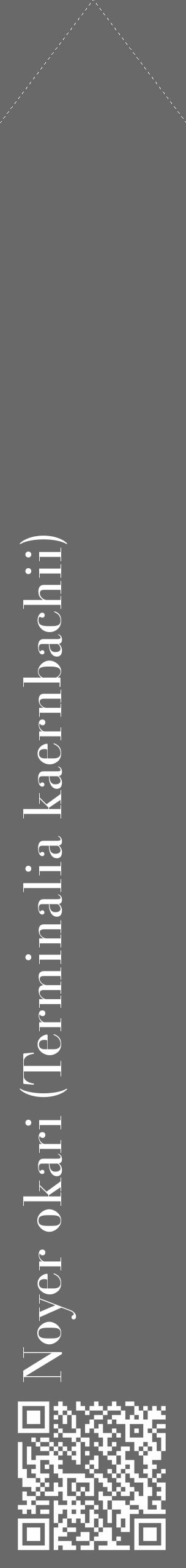Étiquette de : Terminalia kaernbachii - format c - style blanche11_simple_simplebod avec qrcode et comestibilité - position verticale