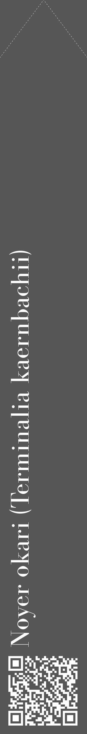 Étiquette de : Terminalia kaernbachii - format c - style blanche45_simple_simplebod avec qrcode et comestibilité - position verticale