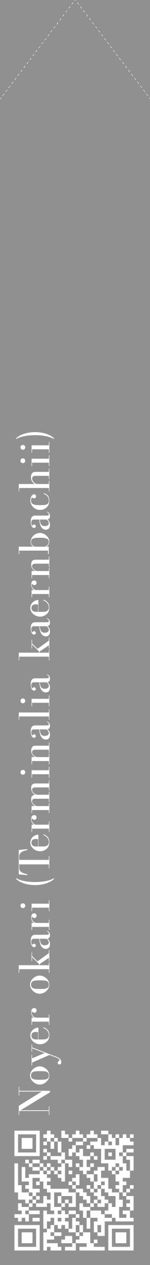 Étiquette de : Terminalia kaernbachii - format c - style blanche4_simple_simplebod avec qrcode et comestibilité - position verticale