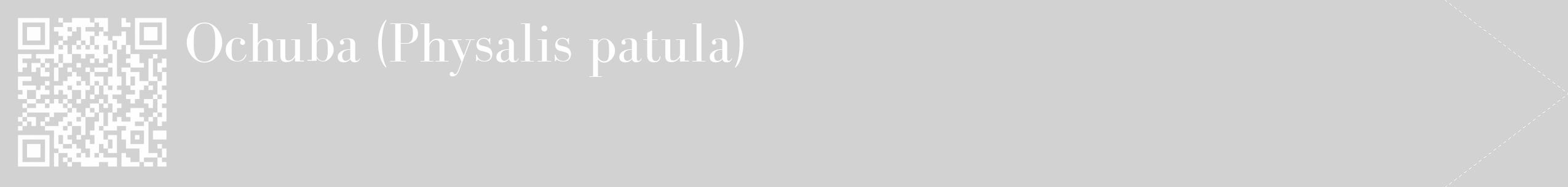 Étiquette de : Physalis patula - format c - style blanche14_simple_simplebod avec qrcode et comestibilité