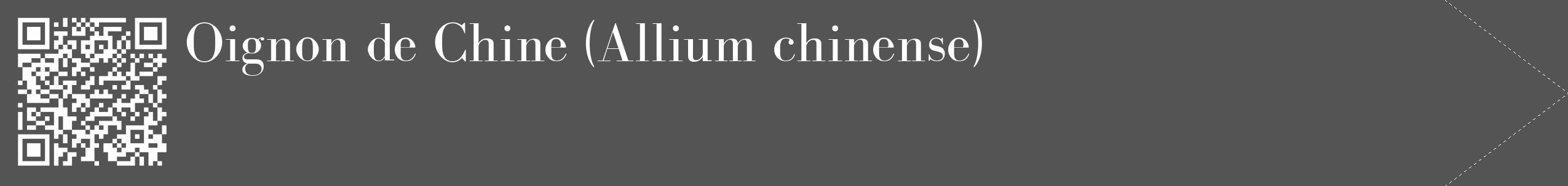 Étiquette de : Allium chinense - format c - style blanche30_simple_simplebod avec qrcode et comestibilité