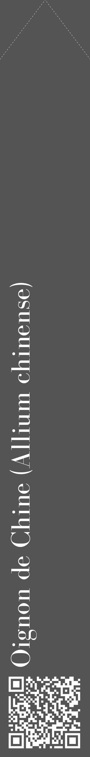 Étiquette de : Allium chinense - format c - style blanche30_simple_simplebod avec qrcode et comestibilité - position verticale
