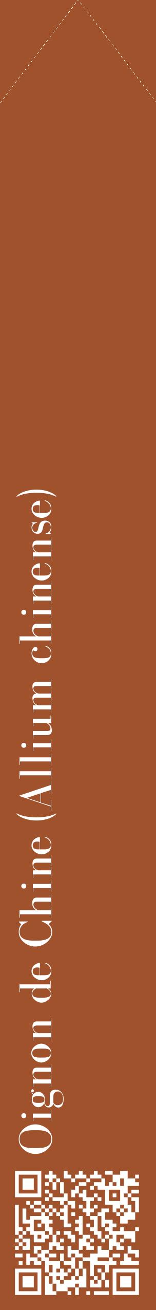 Étiquette de : Allium chinense - format c - style blanche32_simplebod avec qrcode et comestibilité
