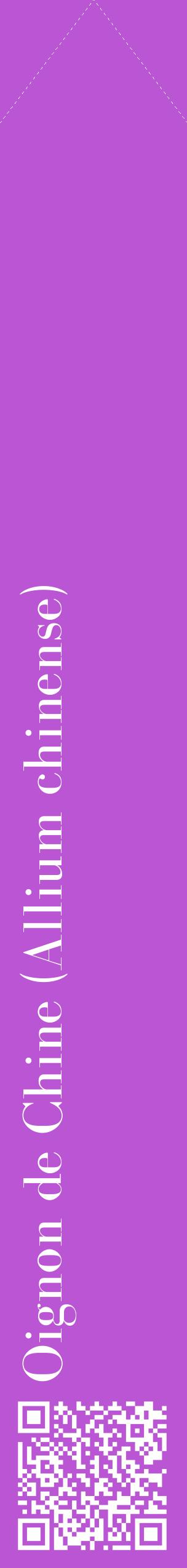 Étiquette de : Allium chinense - format c - style blanche50_simplebod avec qrcode et comestibilité