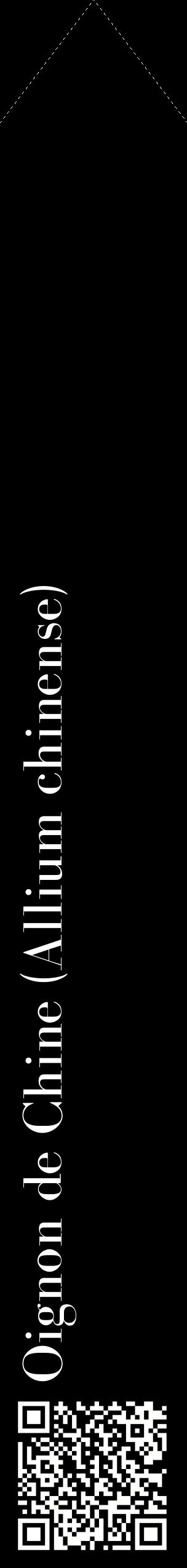 Étiquette de : Allium chinense - format c - style blanche59_simplebod avec qrcode et comestibilité