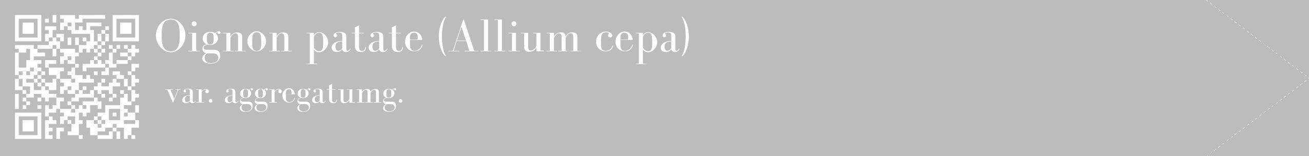 Étiquette de : Allium cepa var. aggregatumg. - format c - style blanche1_simple_simplebod avec qrcode et comestibilité
