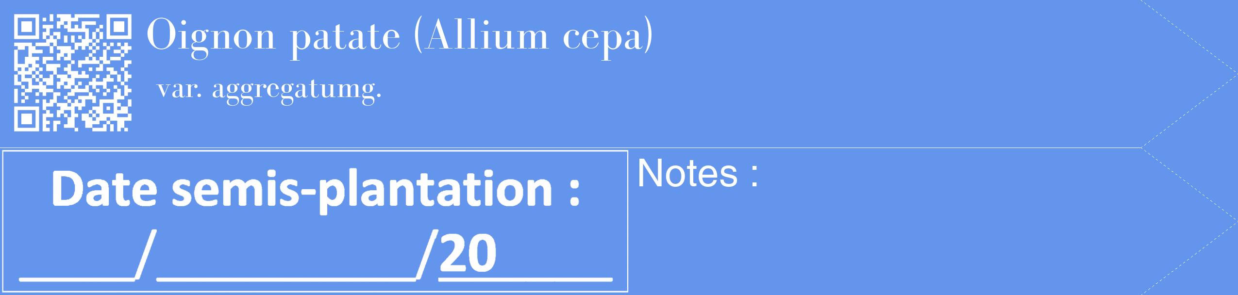 Étiquette de : Allium cepa var. aggregatumg. - format c - style blanche4_simple_simplebod avec qrcode et comestibilité