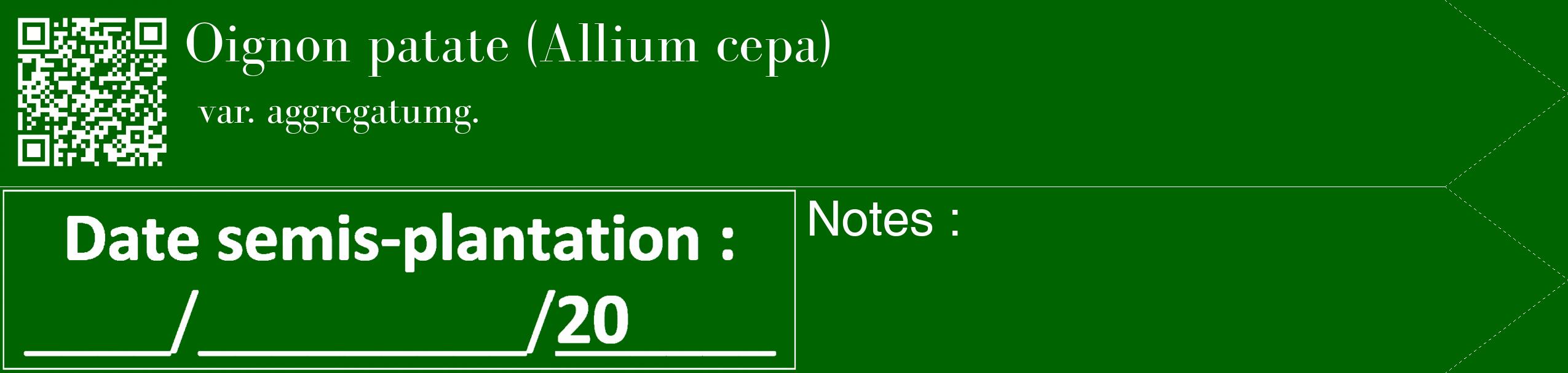 Étiquette de : Allium cepa var. aggregatumg. - format c - style blanche8_simple_simplebod avec qrcode et comestibilité