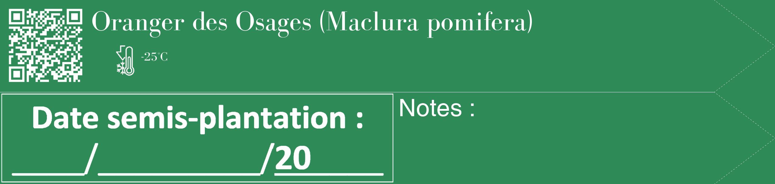Étiquette de : Maclura pomifera - format c - style blanche11_simple_simplebod avec qrcode et comestibilité