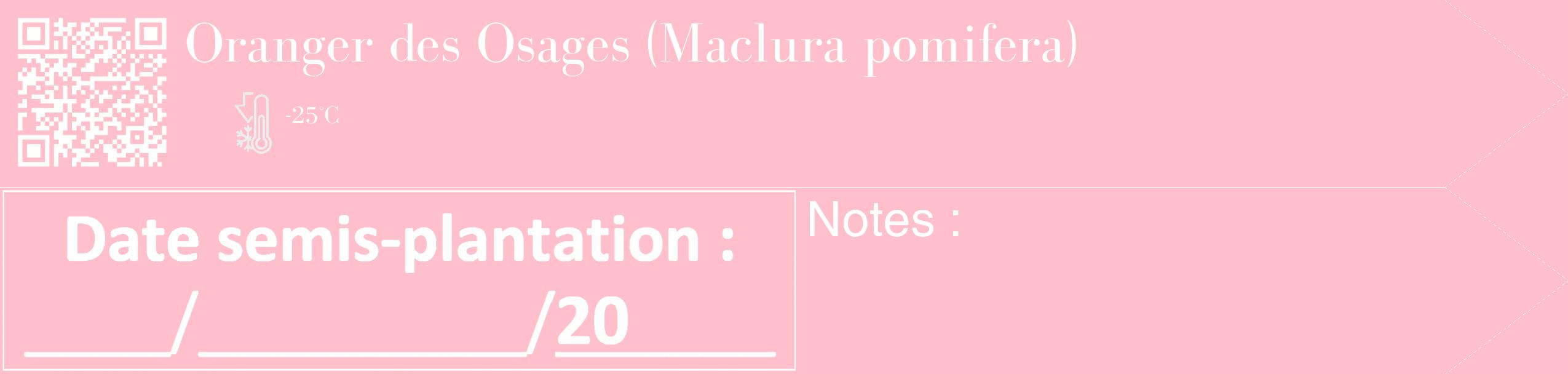 Étiquette de : Maclura pomifera - format c - style blanche40_simple_simplebod avec qrcode et comestibilité