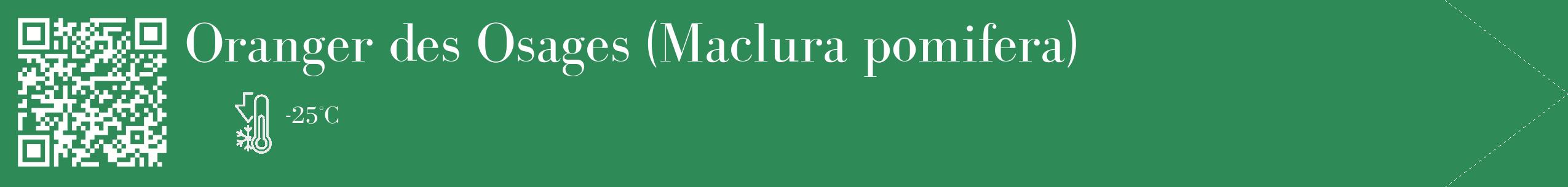Étiquette de : Maclura pomifera - format c - style blanche11_simple_simplebod avec qrcode et comestibilité