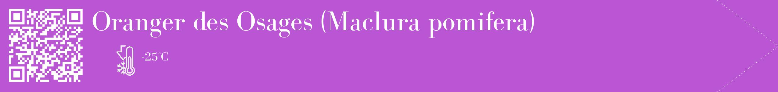 Étiquette de : Maclura pomifera - format c - style blanche50_simple_simplebod avec qrcode et comestibilité
