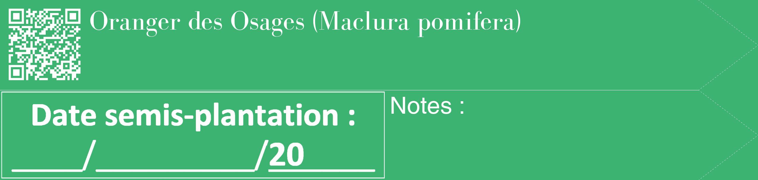 Étiquette de : Maclura pomifera - format c - style blanche12_simple_simplebod avec qrcode et comestibilité