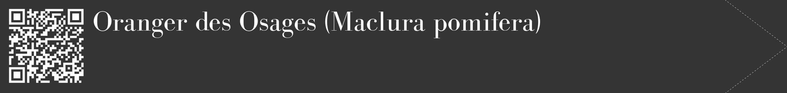 Étiquette de : Maclura pomifera - format c - style blanche46_simple_simplebod avec qrcode et comestibilité
