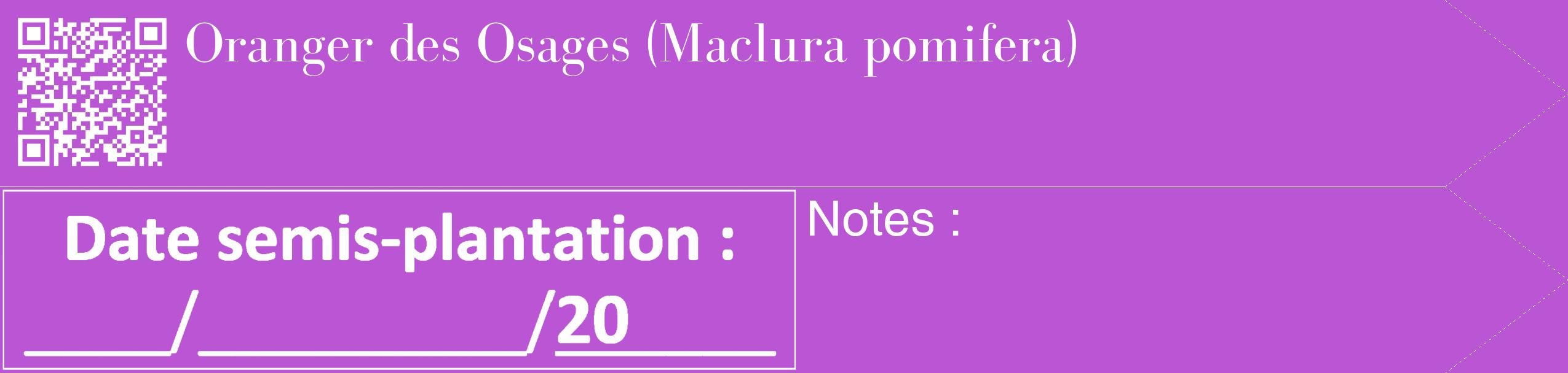 Étiquette de : Maclura pomifera - format c - style blanche50_simple_simplebod avec qrcode et comestibilité