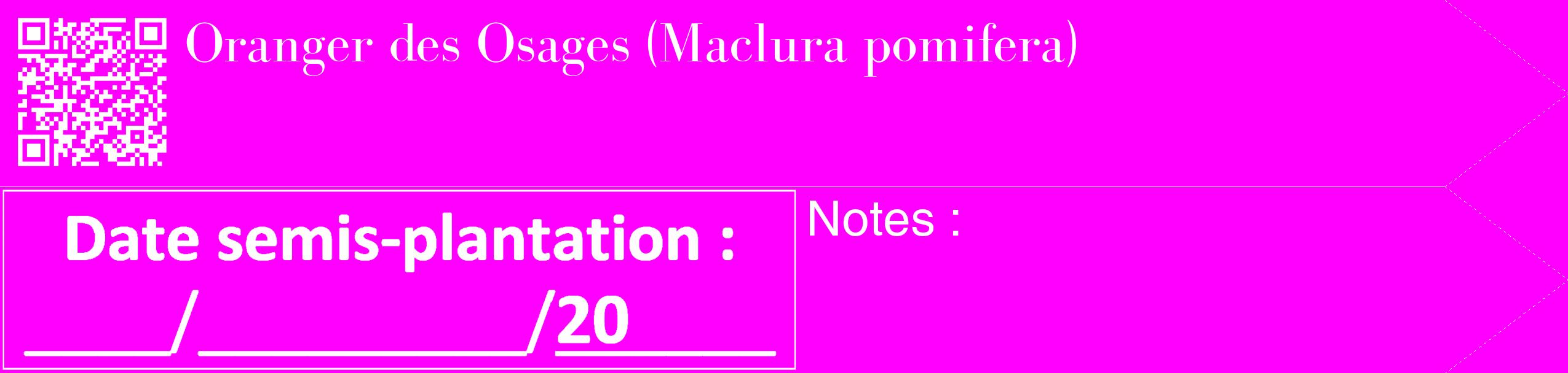 Étiquette de : Maclura pomifera - format c - style blanche51_simple_simplebod avec qrcode et comestibilité