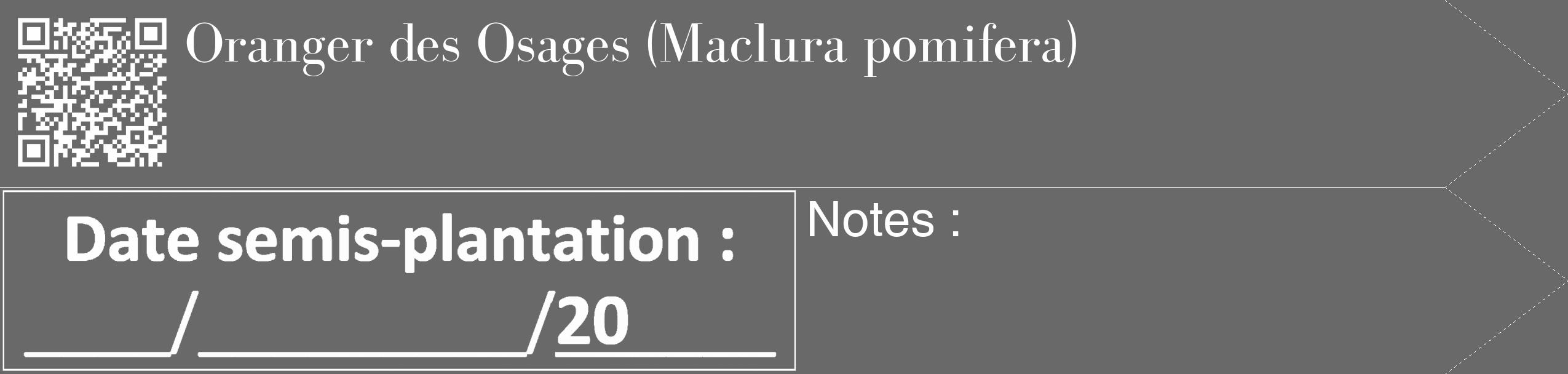 Étiquette de : Maclura pomifera - format c - style blanche51_simple_simplebod avec qrcode et comestibilité