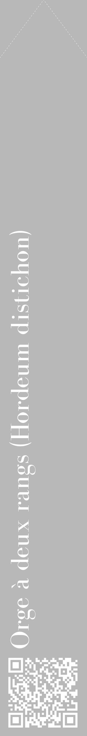 Étiquette de : Hordeum distichon - format c - style blanche39_simple_simplebod avec qrcode et comestibilité - position verticale