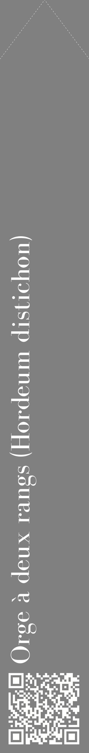 Étiquette de : Hordeum distichon - format c - style blanche57_simplebod avec qrcode et comestibilité